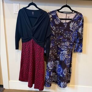 Two Title Nine Dresses